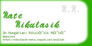 mate mikulasik business card